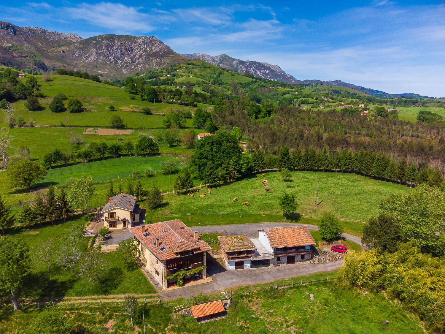 Gasthaus La Casona De Sovina Piloña Exterior foto